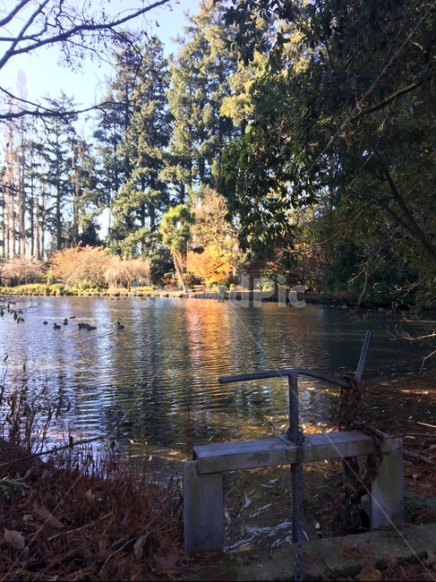 자연,하늘,물,nature,water,outdoors,옥외