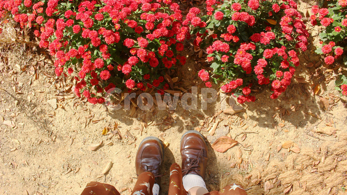가을,구두,꽃,자연,사람,여자,clothing,의류,apparel,의복,빨강,빨간꽃,flower,red,redflower