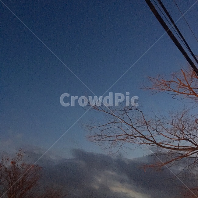 나뭇가지,하늘,겨울,쓸쓸함,푸른하늘,sky,앙상함