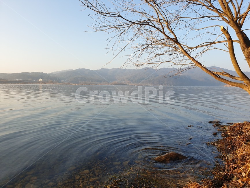 강,호수,물결,잔잔한,앙상한,나무,겨울호수,겨울,풍경,lake,river,waves,blue,물,리플,ripple,옥외,outdoors,water