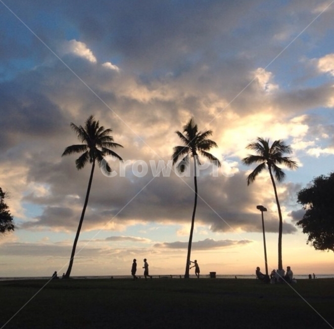야자수,하와이,여행,Palmtree,Hawaii,Morning,아침,Sunraise,자연,풍경,자연,풍경,nature,landscape,해변,바다,beach,sea,해외,외국,세계,foreign,oversea,world,세계자연풍경,해외자연풍경,외국자연풍경,world nature landscape,사람들,대중,군중,other people,crowd,실루엣,그림자,silhouette,shadow,인물실루엣,사람실루엣,character silhouette,human silhouette,여행,휴가,traveling,vacation,trip,outdoors,옥외,human,인간,person,사람,tree,나무,plant,식물,arecaceae,Arecaceae,palm tree
