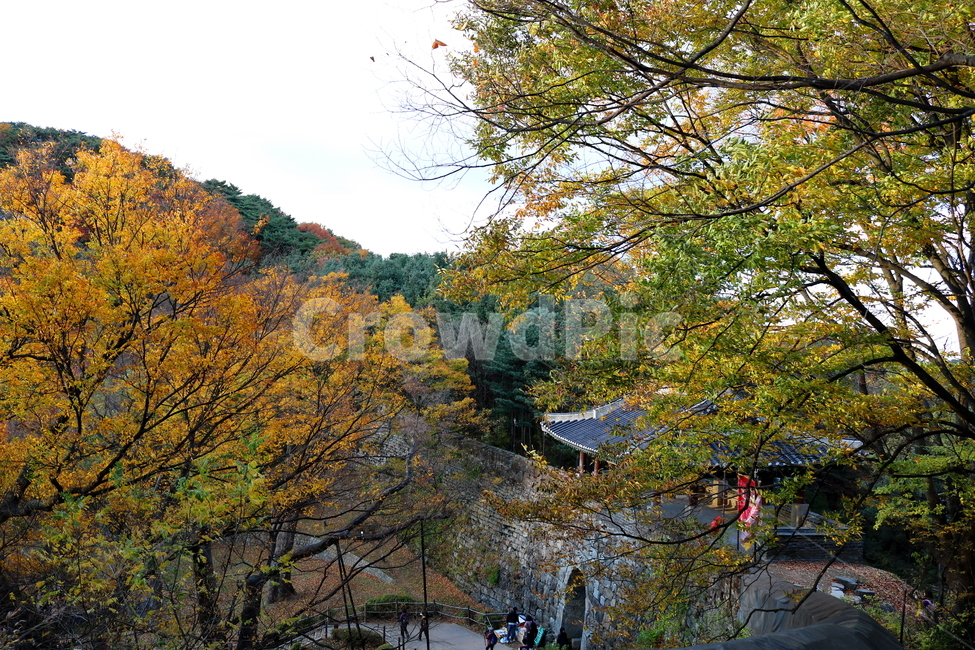 남한산성,산성,성벽,자연,풍경,가을,단풍,나무,공원,가을,계절,fall,autumn,season,tree,plant,식물,outdoors,옥외