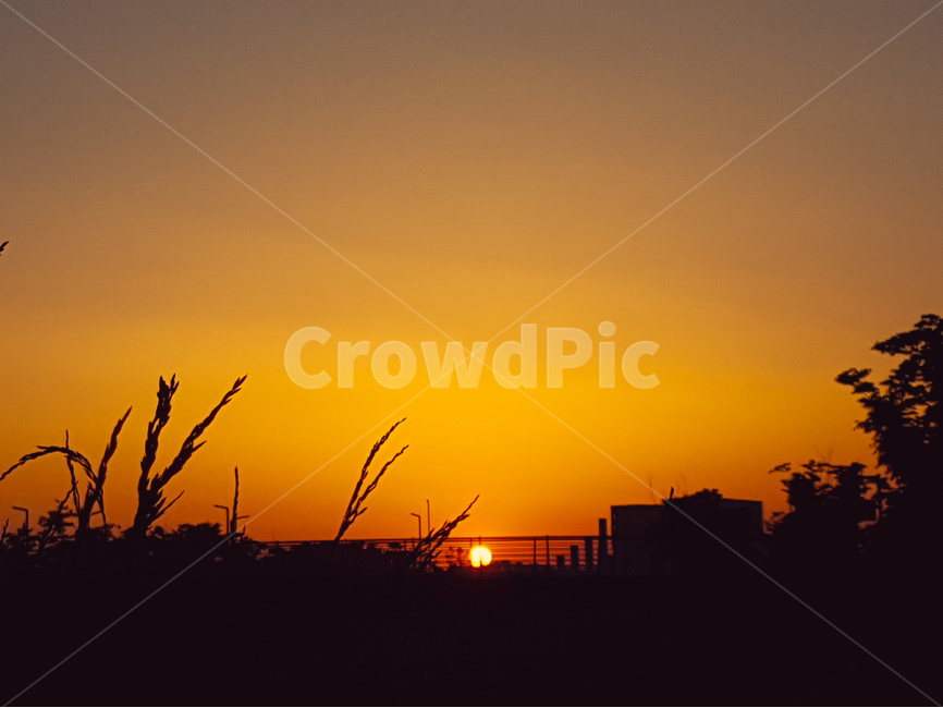 일출,해,풍경,다리,햇빛,자연,풍경,nature,landscape,실루엣,그림자,silhouette,shadow,grass,잔디,plant,식물,outdoors,옥외,sky,하늘