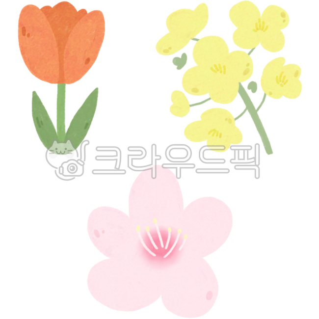 Spring,spring flowers,spring flower drawings,spring flower illustrations,flower drawings,flowers,tulips,rape blossoms,plum blossoms,cherry blossoms,tulip drawings,rape blossom drawings,plum blossom drawings