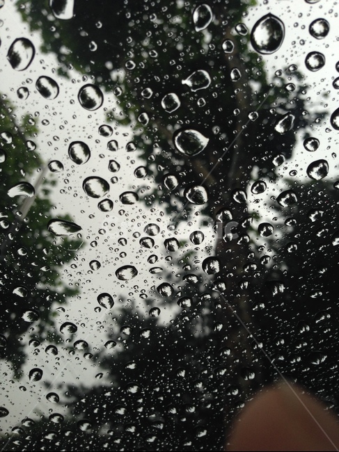 비,빗물,맺힘,물방울,빗방울,raindrop,raindrops,waterdrop,rain
