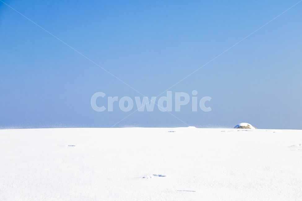 눈,설원,겨울,언덕,옥외,자연,nature,outdoors,snow,snowyfields,winter,겨울,계절,winter,season,자연,풍경,nature,landscape