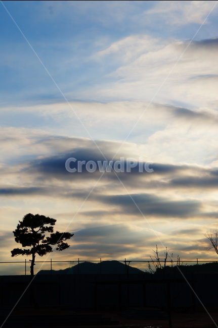 흰구름,파랑하늘,하늘,풍경,해,자연,자연,풍경,nature,landscape,outdoors,옥외,sky