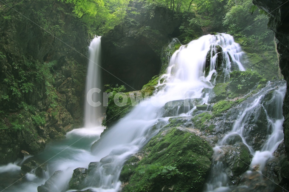 강원도,삼척,무건리,이끼폭포,무건리이끼폭포,계곡,water,물,outdoors,옥외,nature,자연,waterfall,폭포,자연,풍경,nature,landscape