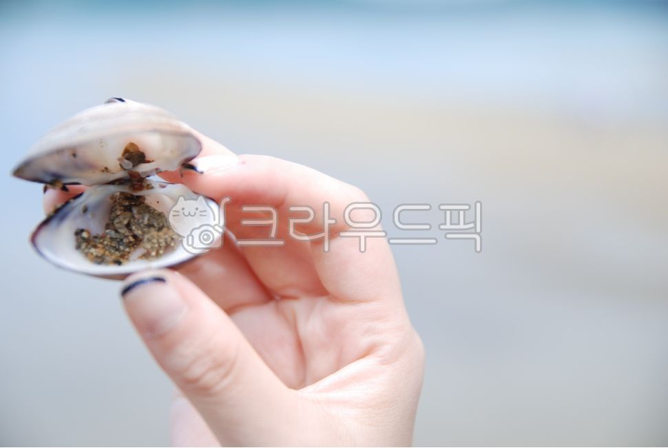 바다,조개,여자손,손,겟벌,인간,사람