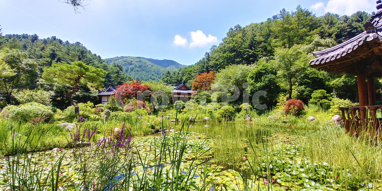 옥외,outdoors,garden,정원,nature,자연,한옥,전통정원,호수,나무,숲,정자,수목원