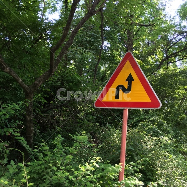 산,등산,숲속,자연,나무,풀,파릇파릇,초록,산속