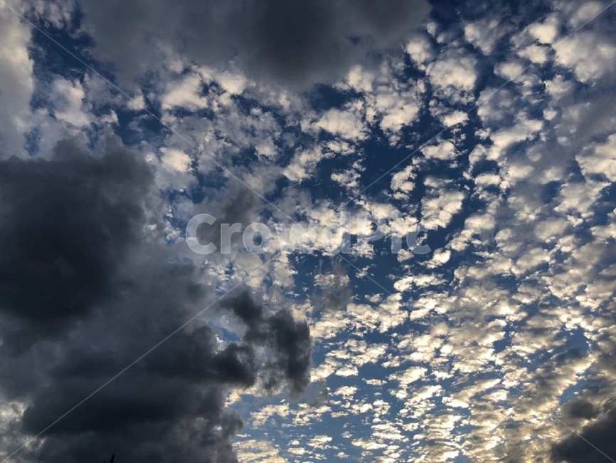 구름,cloud,자연,새파란,하늘,파랑,파란색,하얀색,시원한,상쾌한,시원,상쾌,바람,고요한,고요,뜬구름,파란,청정,풍경,nature,landscape