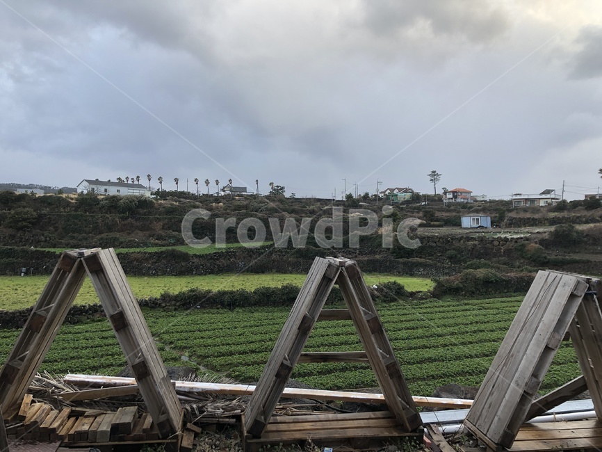 논밭,밭,제주도,날씨,제주도밭,경치,풍경