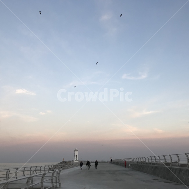 경주,새,해질녘,다리,등대,등대,lighthouse,사람들,대중,군중,other people,crowd,banister,난간,handrail