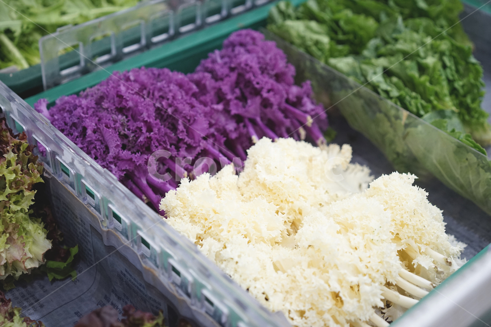 vegetables,야채,채소,신선한,유기농,식품,건강,상추,자연,채식,채식주의자,녹색,마트,시장,음식,식재료,요리,food,cook,meal,dishes,food reserves,채소,야채,vegetables
