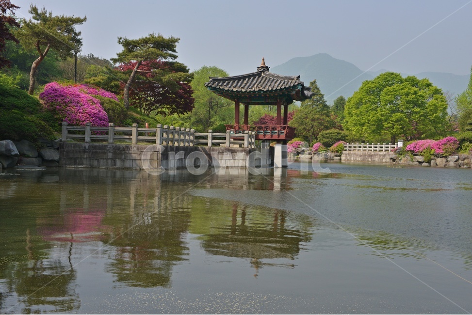 충남,대전,현충원,국립현충원,현충지,pond,못,garden,정원,연못,반영,현충지봄,철쭉,철쭉꽃,봄,계절,경치,경관,풍경,outdoors,옥외,nature,자연,water,물,plant,식물,tree,나무,정자,쉼터