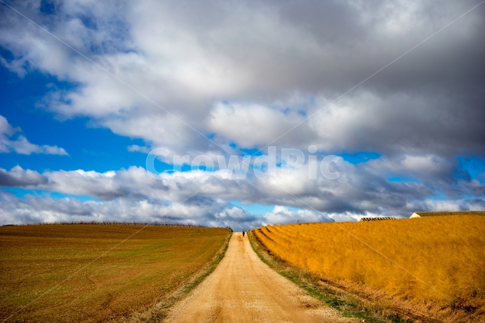 풍경,여행,유럽,스페인,산티아고순례길,배낭여행,spain,caminodesantiago,길,평야,하늘,구름,자연,풍경,nature,landscape,시골,마을,country,rural,town,해외,외국,세계,foreign,oversea,world,세계자연풍경,해외자연풍경,외국자연풍경,world nature landscape,road,도로,gravel,자갈,dirt road,흙길,outdoors,옥외