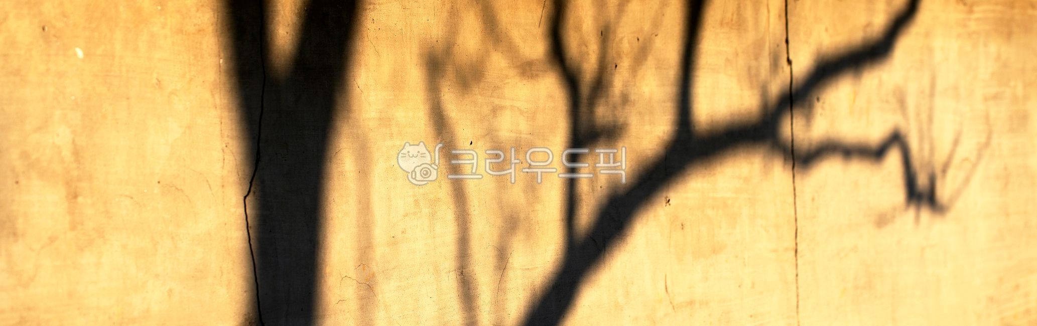 stone wall,mural,shadow,tree branch,tree,outdoor,outdoors,light,outside,plant,Clear weather,sunny,wall,Sunny