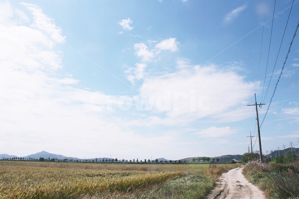 nature,자연,outdoors,옥외,grassland,목초지,field,들,길,바탕화면,시골,마을,풍경,landscape,country,rural,town