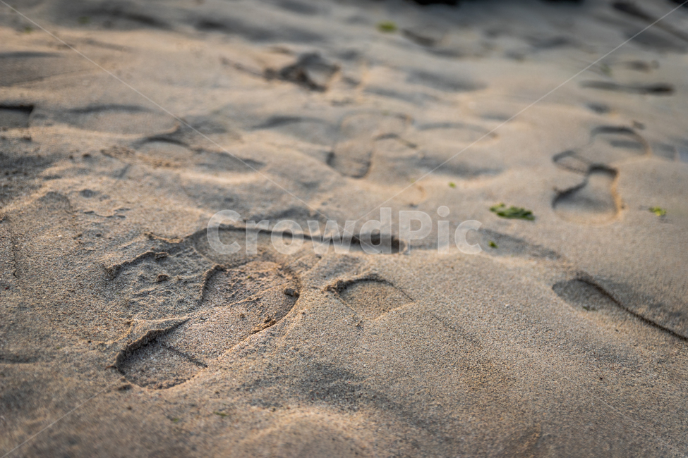 sand,모래,흙,soil,자연,nature,발자국,감성,흔적,해변,바다,beach,sea