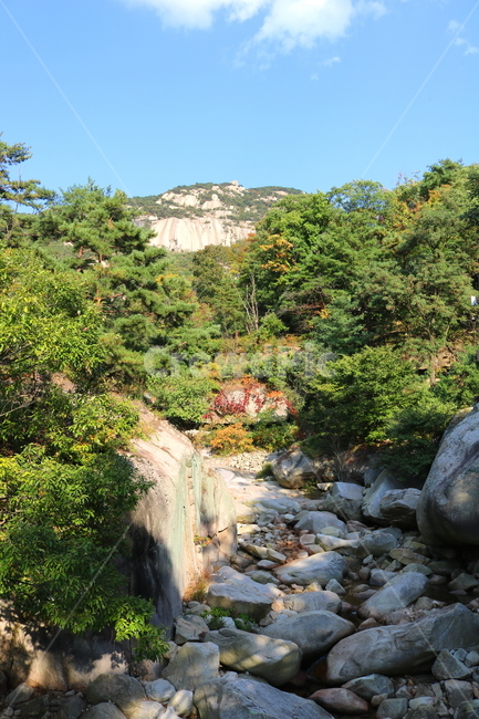 북한산,산,자연,풍경,나무,공원,국립공원,산책로,등산로,원효봉,북한산국립공원,하늘,맑은하늘,자연,풍경,nature,landscape