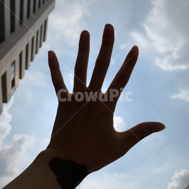 자연,하늘,해,구름,파란하늘,손