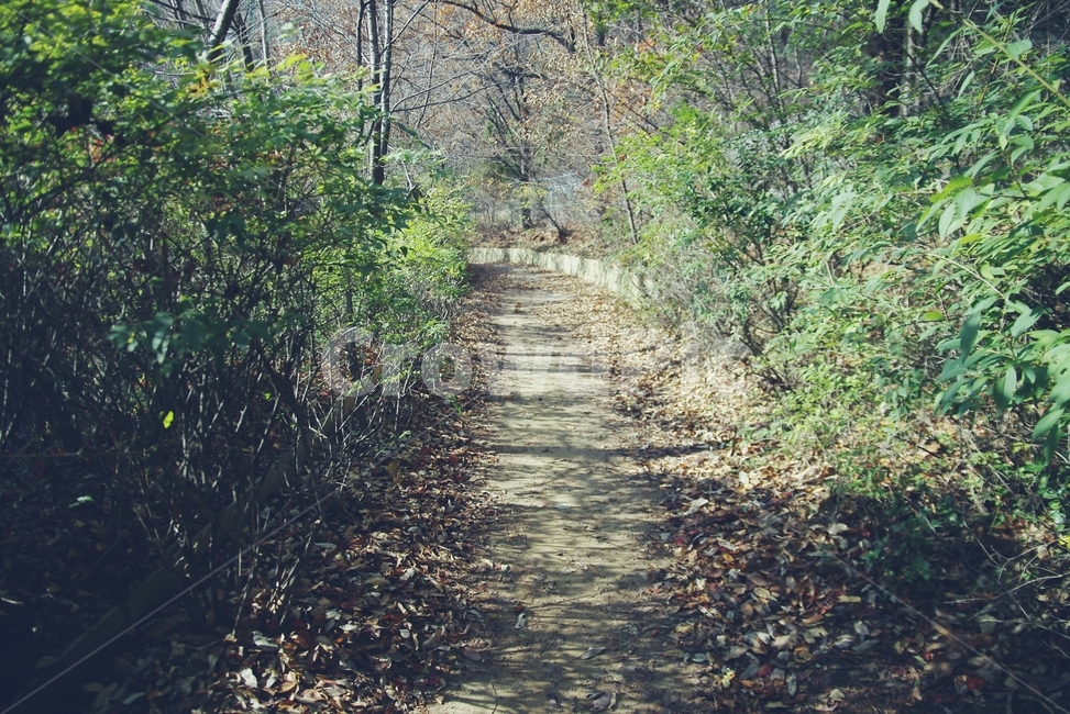 길,산책길,산길,road,산,mountain,자연,풍경,nature,landscape,boardwalk,산책로,building,건물,bridge,다리,path,통로