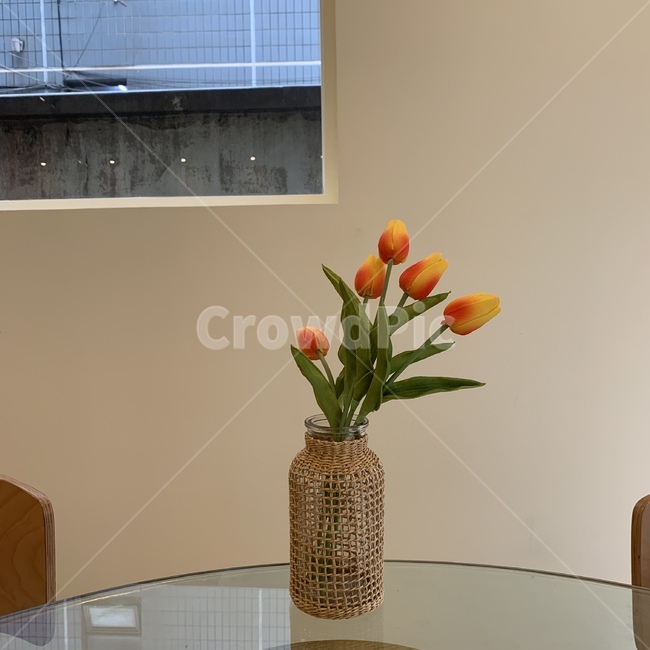 꽃,flower,식물,plant,blossom