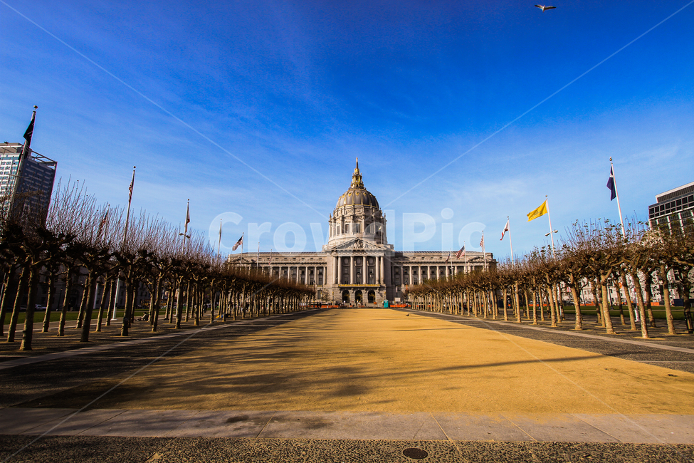downtown,도심,building,건물,town,도시,urban,어반,시티,architecture,건축물,미국,usa,시청,샌프란시스코,sanfrancisco,해외,외국,세계,foreign,oversea,world,건축물,건물외관,exterior,building,structure,architecture,construction