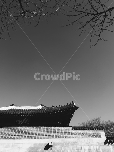 한국전통가옥,전통가옥,감성,흑백,전통,건물,building,architecture,건축물