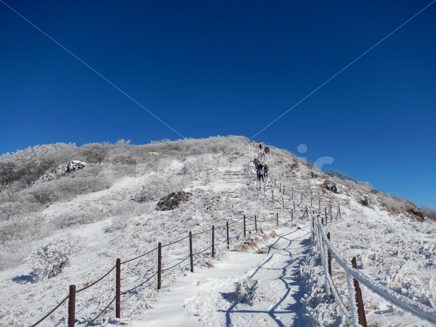 소백산,눈꽃풍경,상고대,겨울풍경,국립공원,겨울동화,힐링,감성,아름다움,뷰티풀,설국,눈풍경,파란하늘,100대명산,겨울명산,설경,서리꽃,영동,snow,landscape,눈,화이트,자연,신비로운,경이로운,천상,비경,치유,산,명산,길,눈길,로드,등산로,등로,겨울,계절,winter,season,자연,풍경,nature,landscape,한국자연풍경,한국자연경관,korea nature landscape,slope,경사,outdoors,옥외