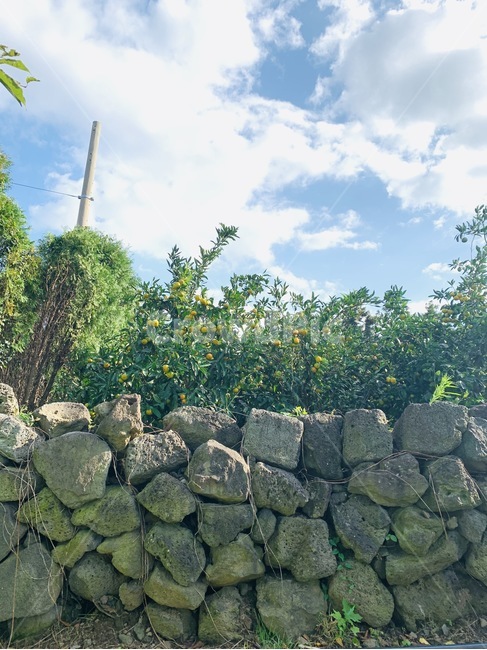 wall,벽,stonewall,돌담,구름,하늘,자연,풍경,nature,landscape