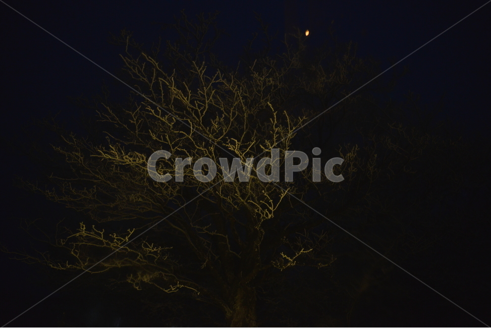 nature,자연,outdoors,옥외,밤제주도,1100고지,어둠,야경,밤,풍경,nightscape,night,landscape