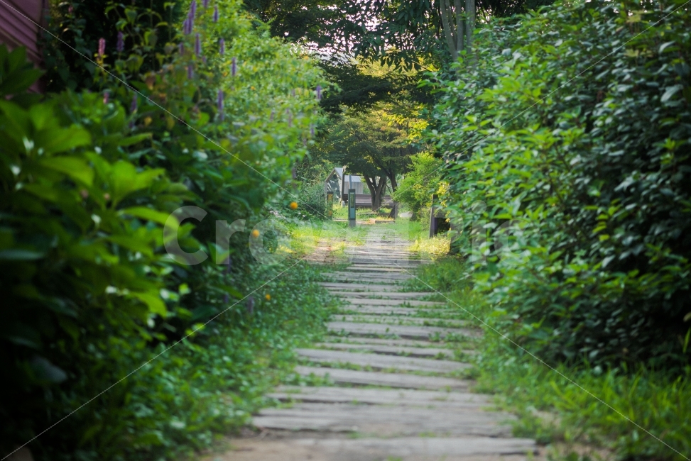 헤이리마을,가을,감성,숲,사랑,녹색의푸르름,아련함,자연,풍경,nature,landscape,garden,정원,outdoors,옥외,arbour,정자