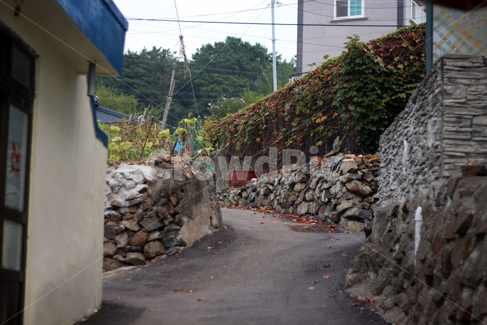 시골,시골길,고향,추억,향수,시골,마을,풍경,landscape,country,rural,town,골목길,alley,slate,슬레이트,flagstone,판석