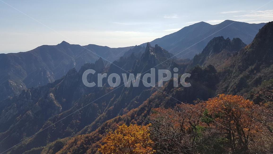 설악산,공룡능선,가을,단풍,마등령,화채능선,가을,계절,fall,autumn,season,자연,풍경,nature,landscape,한국자연풍경,한국자연경관,korea nature landscape,mountain range,산맥,outdoors,옥외,mountain,산,peak,피크