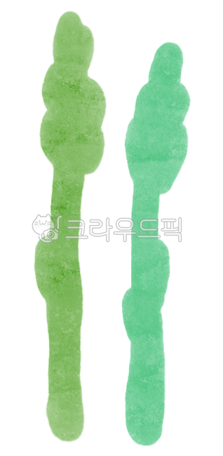 deco,adornment,icon,simple,crops,sauce,vegetable,cute,design,ingredients,illust,decoration,green,nature,hand drawing,sticker,png,food ingredients,vegan,food,Dakku,painting,asparagus,illustration