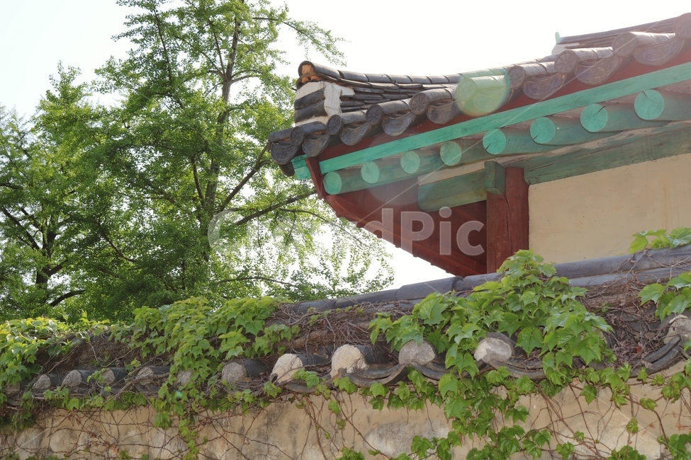 전주,전주한옥마을,한옥마을,한옥,전통,한국전통,한국문화,korean traditional,korean culture,건축물,건물외관,exterior,building,structure,architecture,construction