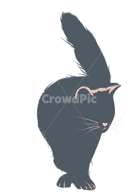 고양이,러시안블루,cat,일러스트,고양이일러스트,고양이,cat,kitten,kitty,그래픽,일러스트레이션,graphic,illustration