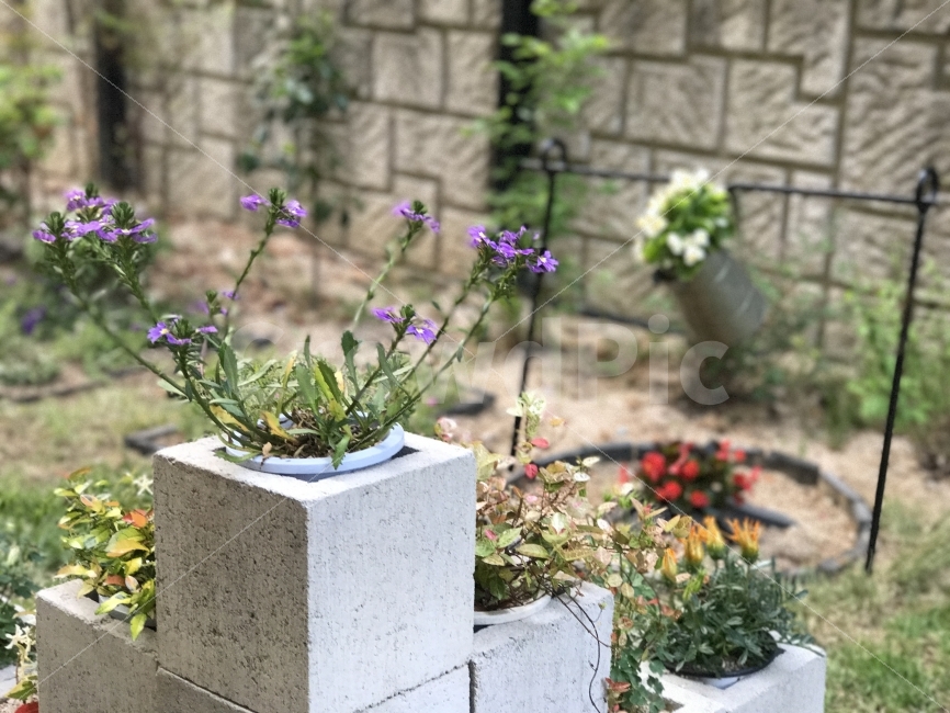 화단,보라색,화롯불,조형물,인테리어,주전자,벽돌,화분,식물,자연,plants,nature,꽃,flower