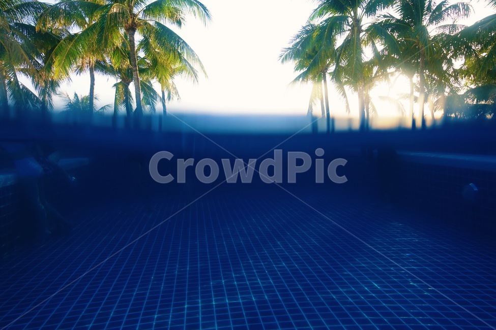 수영장,물속,pool,물,여름,자연,풍경,nature,landscape,summer