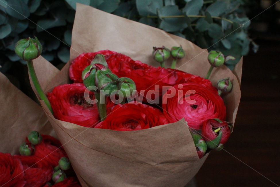 꽃,빨간색,분홍색,flower,red,pink,yellow,여러가지,꽃,flower,기념일,축하,anniversary,congratulation,celebrate,celebration