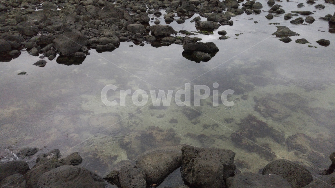 제주도,바다,해안,해변,바닷가,바다가,sea,jeju,land,옥외,땅,파도,water,물,제주도,jeju,jeju island