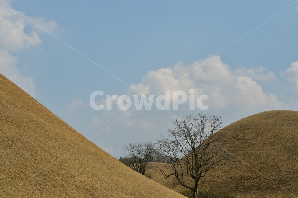 경주,대릉원,하늘,구름,나무,sky,cliud,tree,자연,풍경,nature,landscape,한국자연풍경,한국자연경관,korea nature landscape,한국전통,한국문화,korean traditional,korean culture,랜드마크,landmark,tourist attraction,한국랜드마크,한국관광지,한국명소,korea landmark,korea tourist attraction,grassland,목초지,outdoors,옥외,field,들,mound,투수판