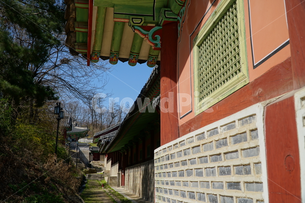 경희궁,고궁,궁궐,궁전,한옥,왕실,왕궁,조선,역사,문화재,history,hanok,culturalassets,culturalproperties,koreanstylehouse,한국,서울,korea,seoul,한국문화,전통문화,한국전통,palace,한국풍경,한국자연,서울풍경,서울자연
