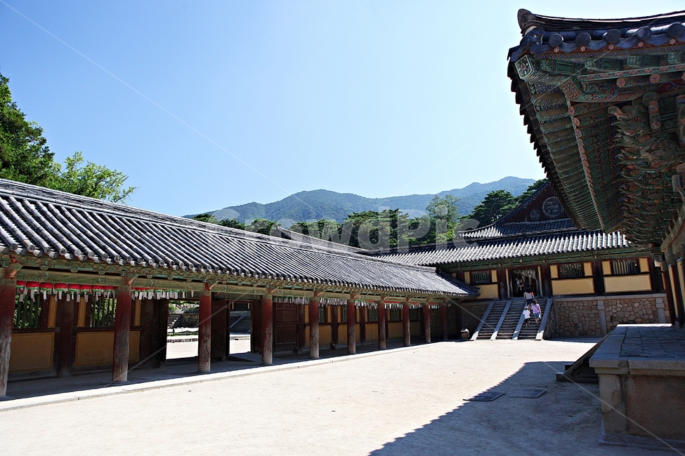 경주,불국사,절,사찰,국보,보물,전통,기와집,여름,집,한옥