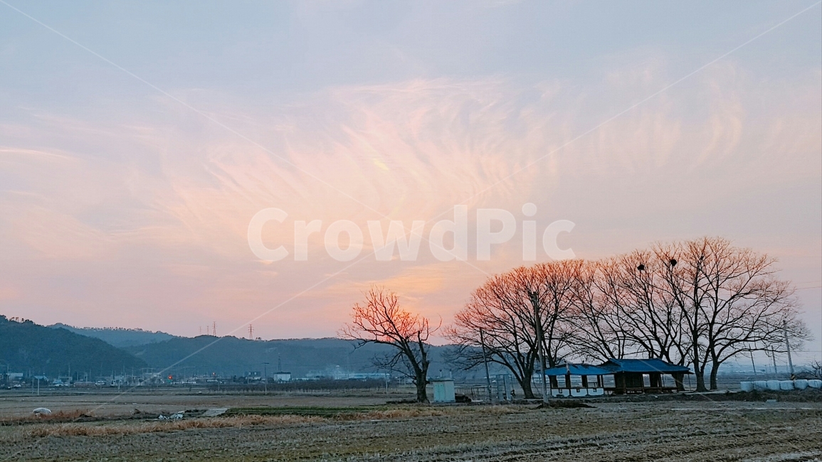 하늘,노을,시골,나무,저녁,풍경,구름,아침,점심,밤,여름,가을