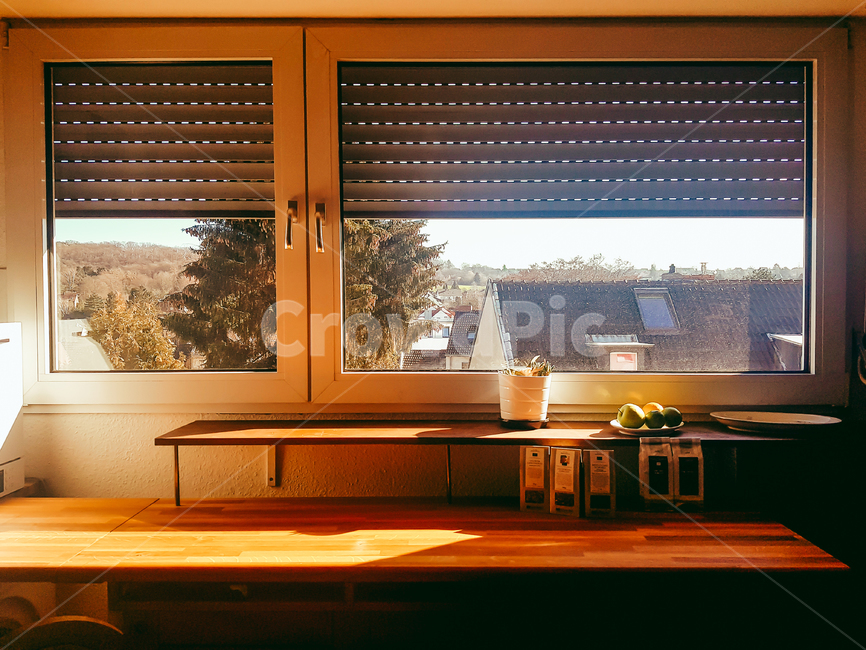 homedecor,가정장식,나무,wood,화분,창문