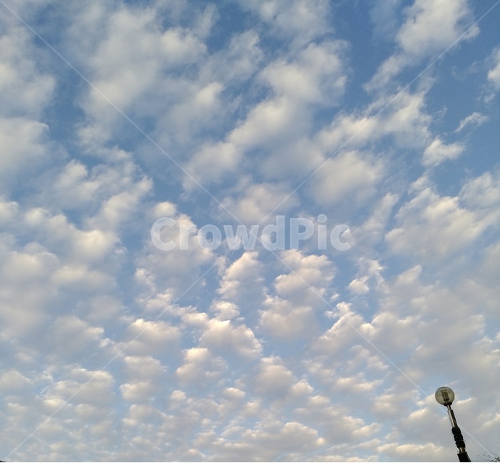 구름,하늘,sky,파란하늘,여름,자연,풍경,nature,landscape,outdoors,옥외,cloud,weather,날씨,cumulus,적운