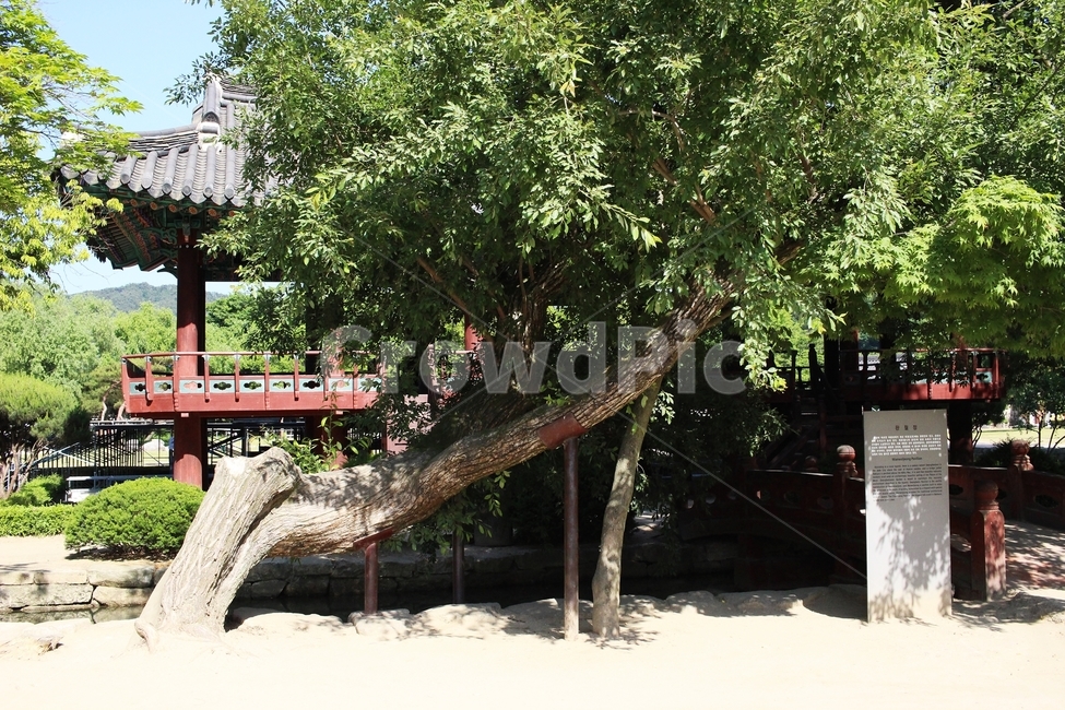 남원,광한루원,광한루,소나무,정자,풍경,한국풍경,한국전통,한국문화,korean traditional,korean culture